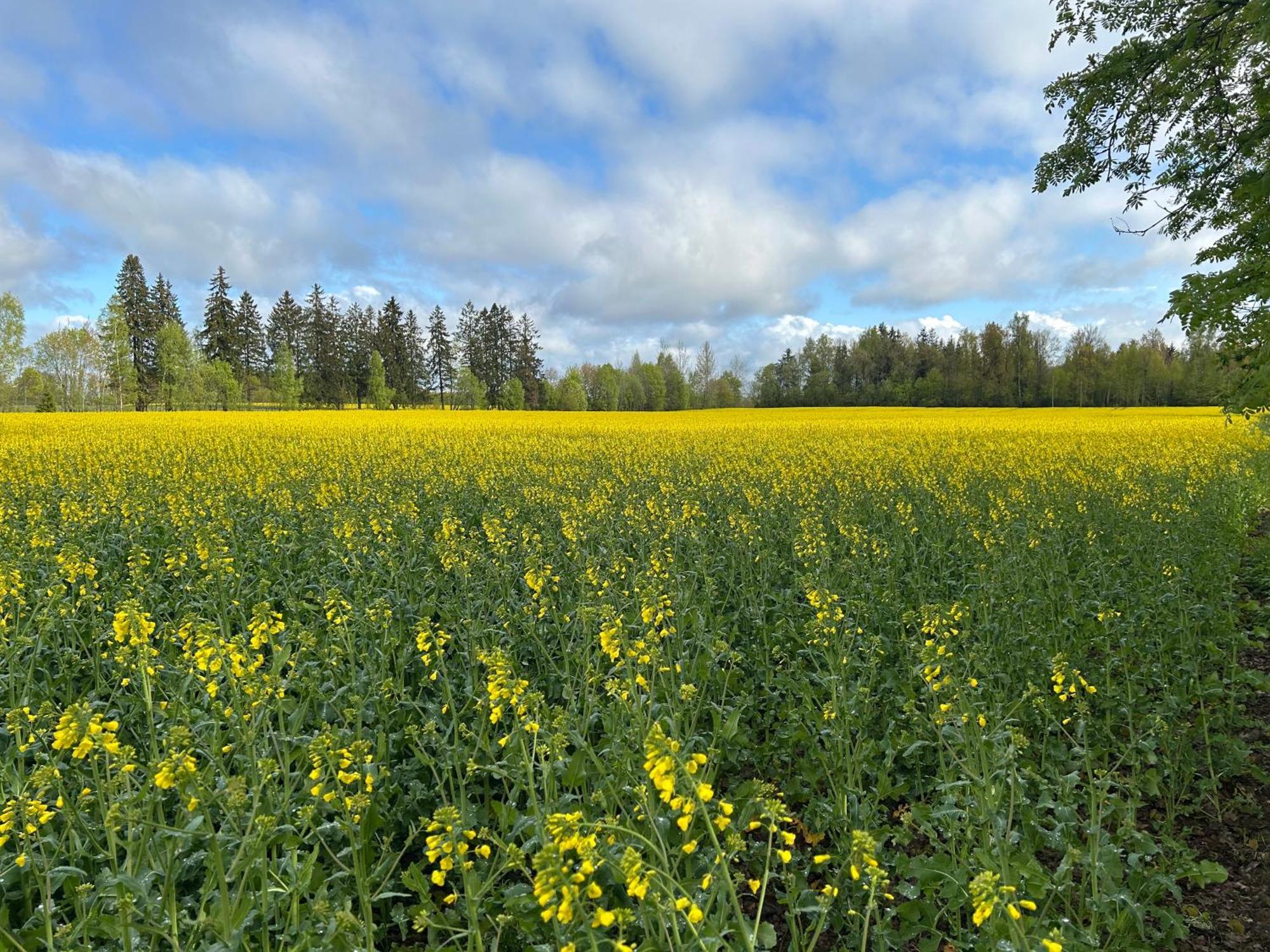Сasa de vacaciones Klavas Sigulda